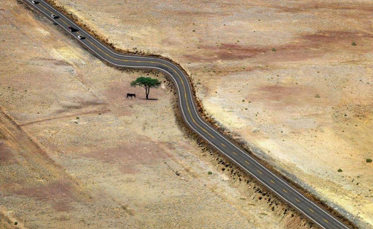 Strom a silnice