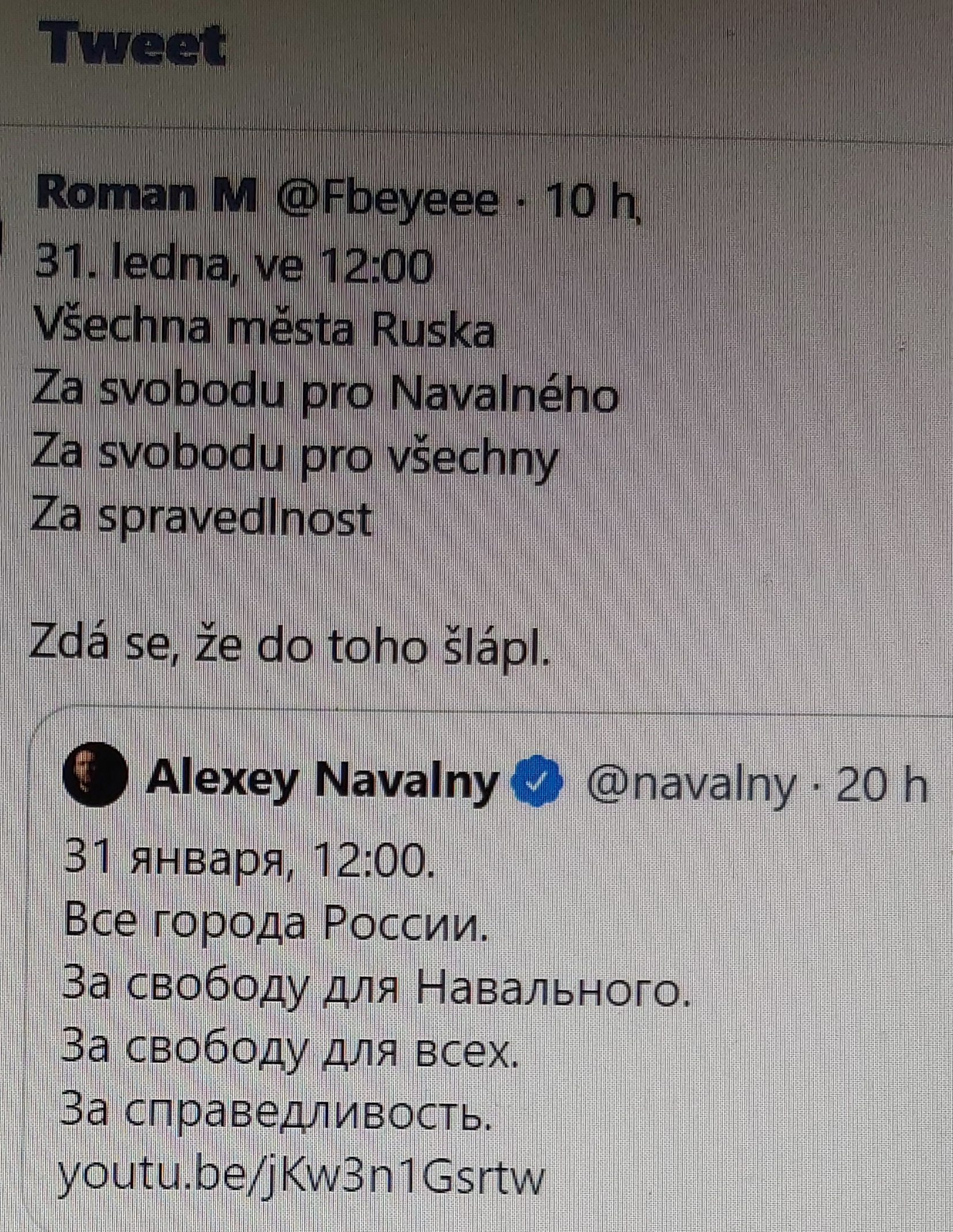 Navalnyj 12 31.1.2021