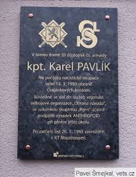 Pavlik Karel Pametni deska