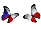 Cesi a Polaci motyli