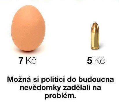 Politici_vejce_a_kulka